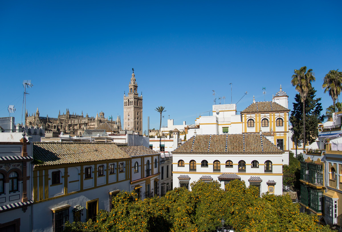 museo en sevilla